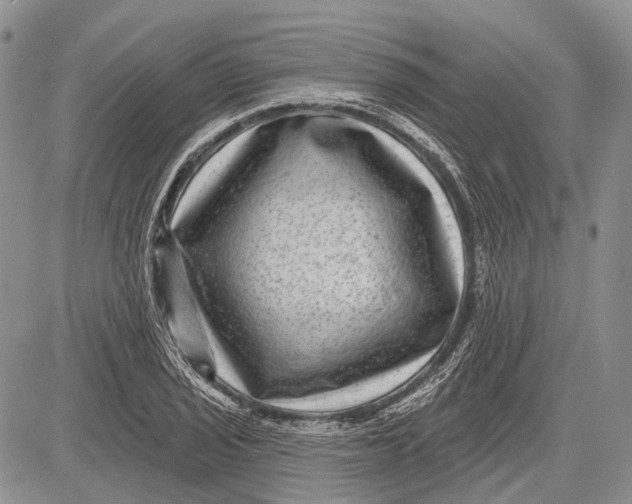 X0000081561029200702051144