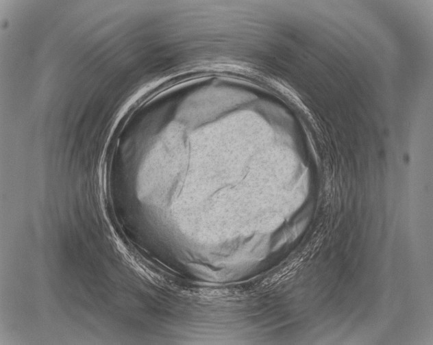 X0000081561032200702051144