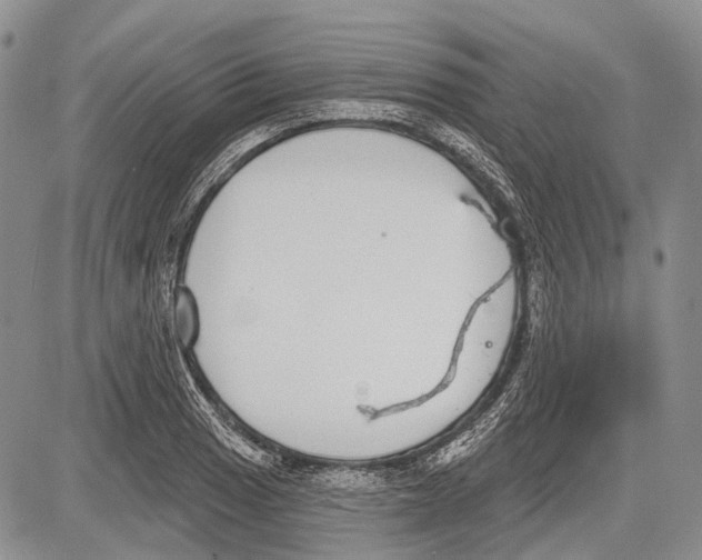 X0000081561033200702051144