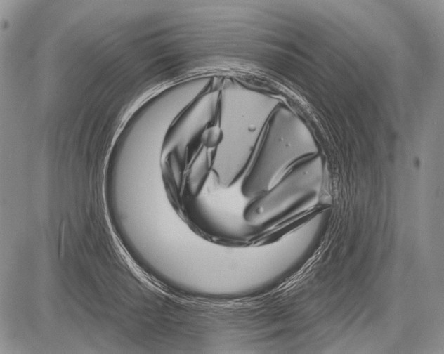 X0000081561034200702051144