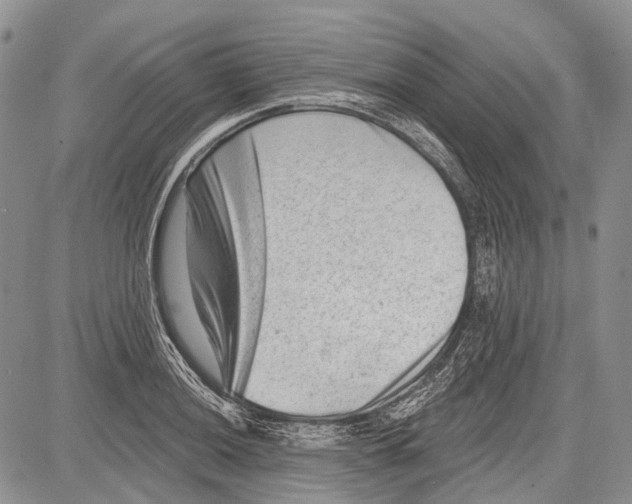 X0000081561036200702051144