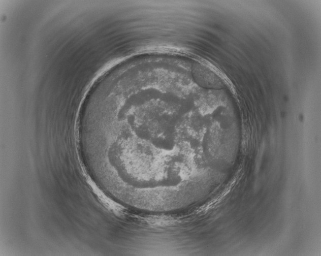 X0000081561037200702051144