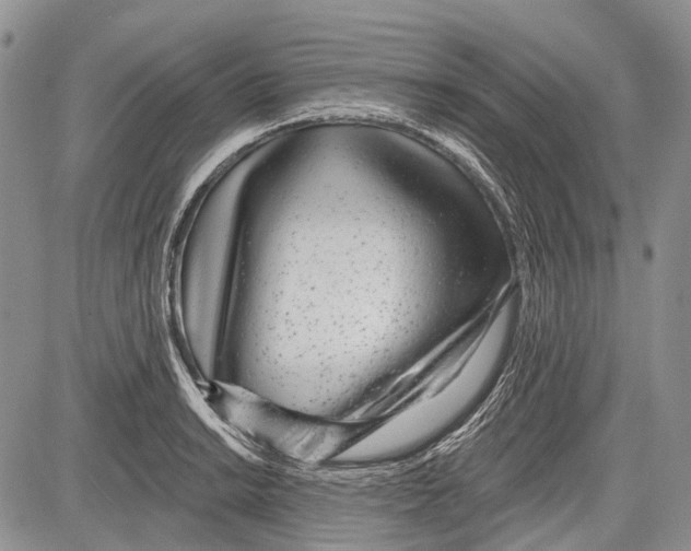 X0000081561038200702051144