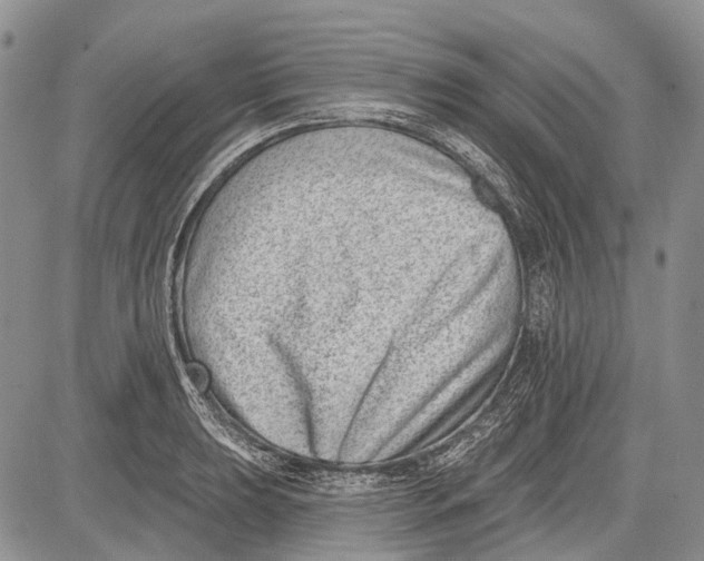 X0000081561039200702051144