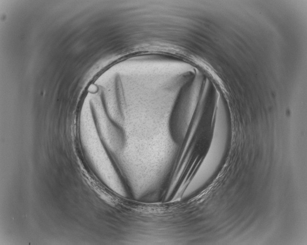 X0000081561040200702051144