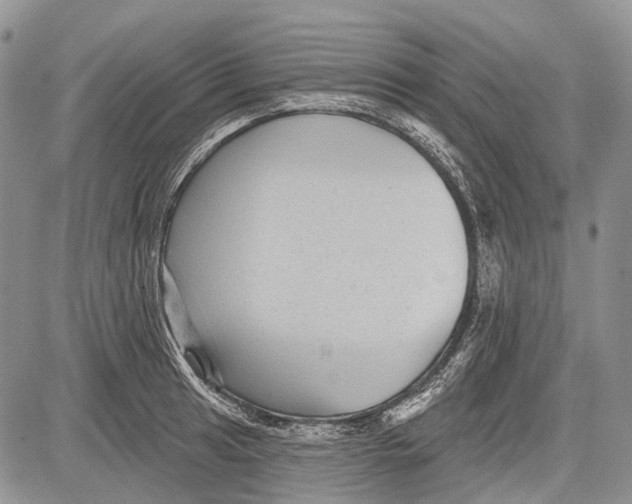 X0000081561041200702051144