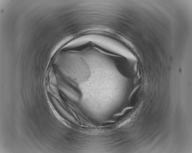 X0000081561042200702051144