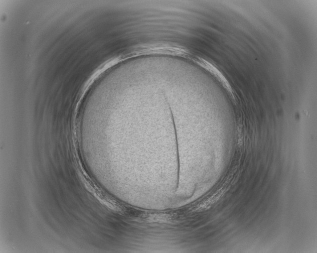 X0000081561043200702051144