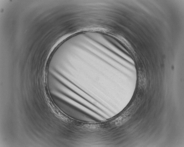 X0000081561044200702051144