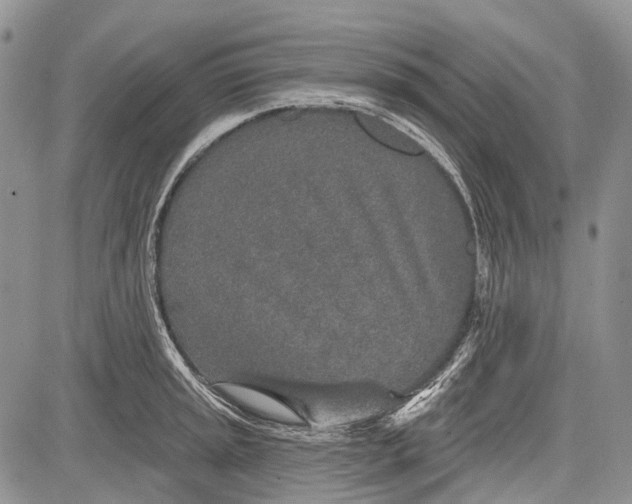 X0000081561045200702051144