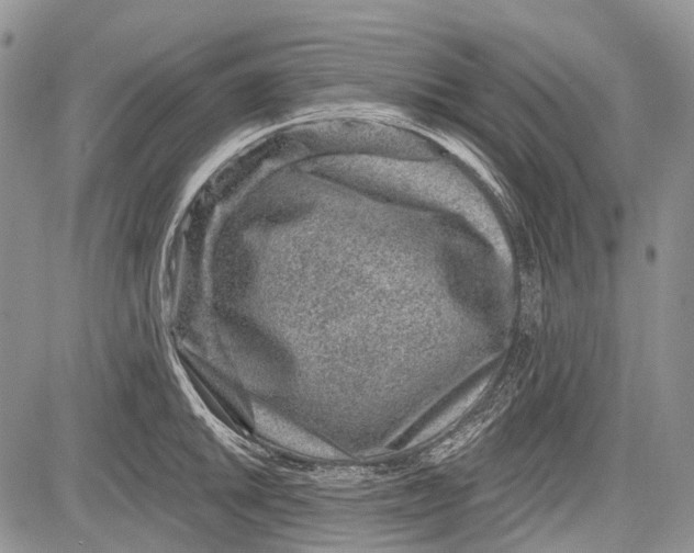 X0000081561046200702051144