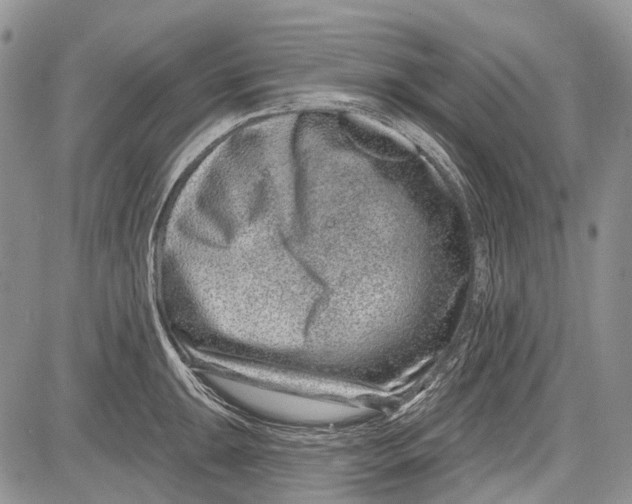 X0000081561047200702051144