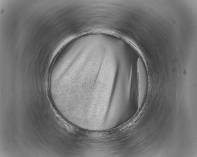 X0000081561048200702051144