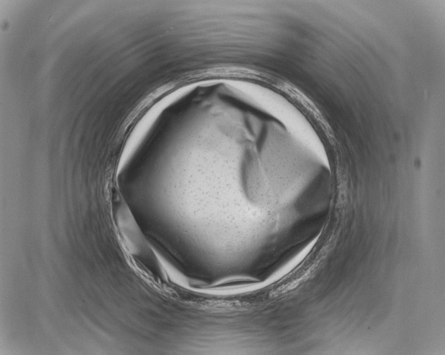 X0000081561049200702051144