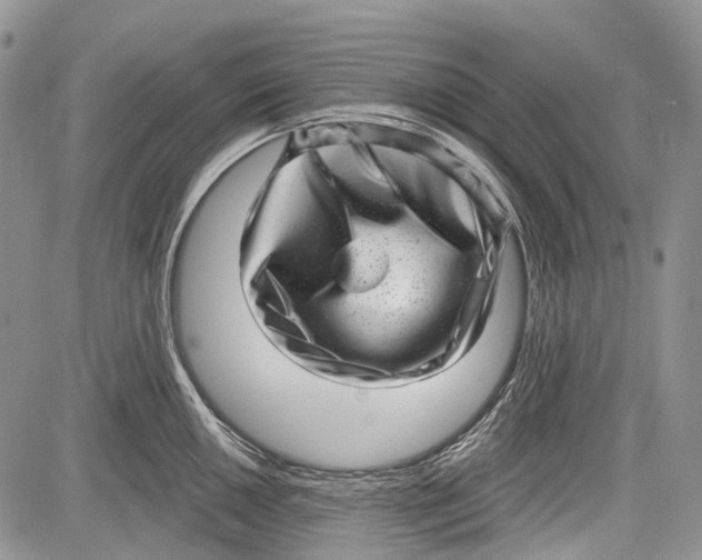 X0000081561050200702051144