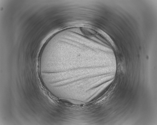 X0000081561051200702051144