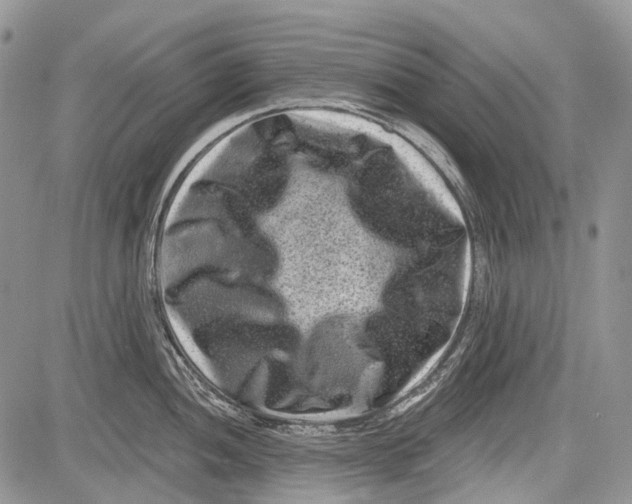 X0000081561052200702051144