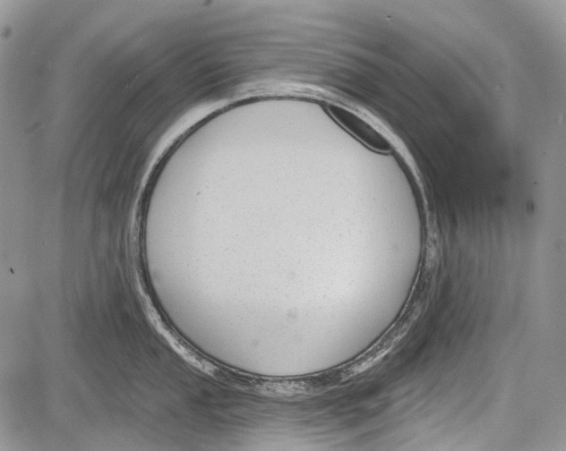 X0000081561053200702051144