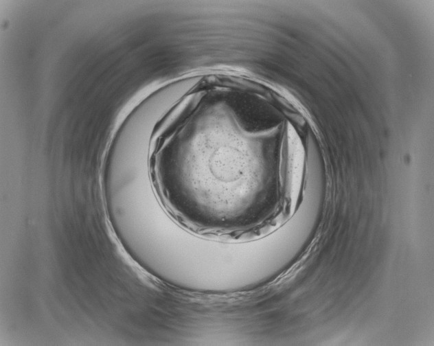 X0000081561054200702051144