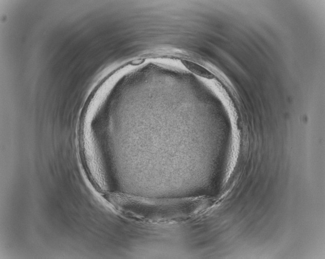 X0000081561055200702051144