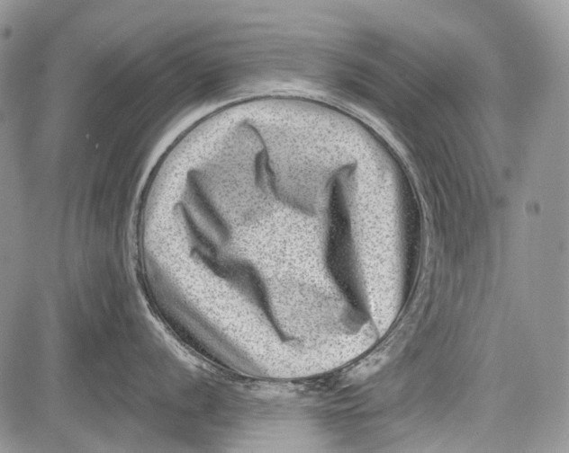 X0000081561056200702051144