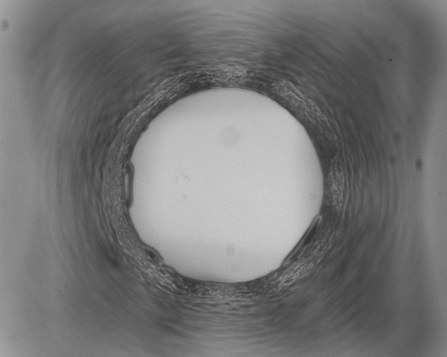 X0000081561057200702051144