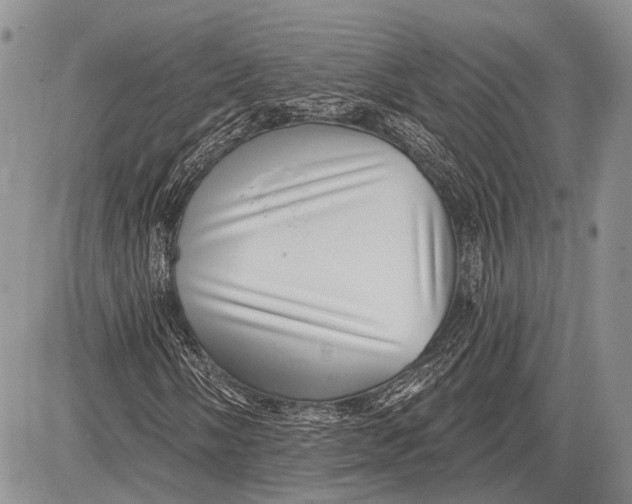 X0000081561058200702051143