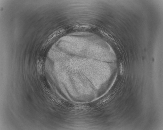 X0000081561059200702051143