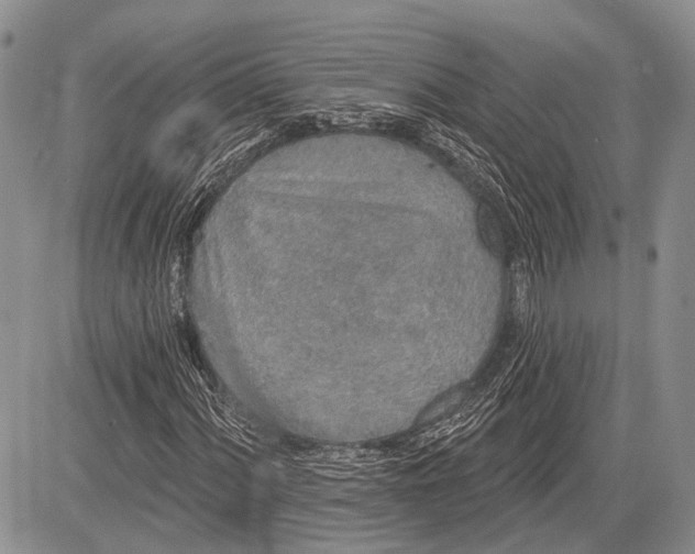 X0000081561060200702051143