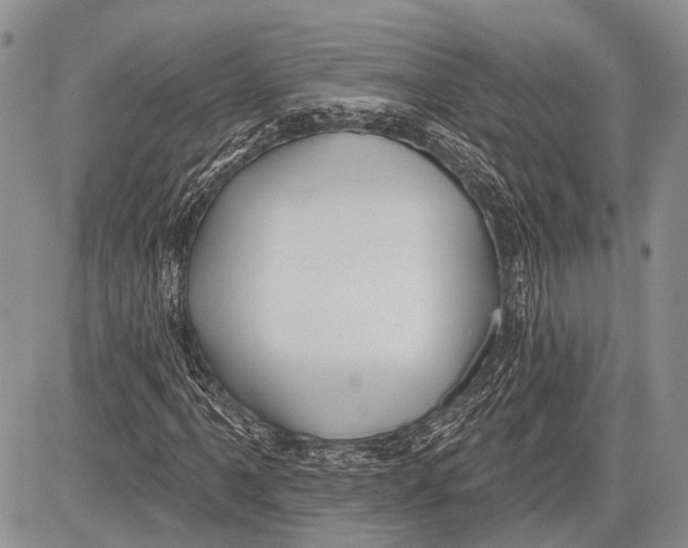 X0000081561061200702051143