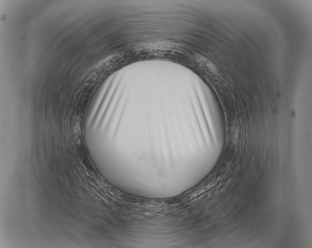 X0000081561062200702051143