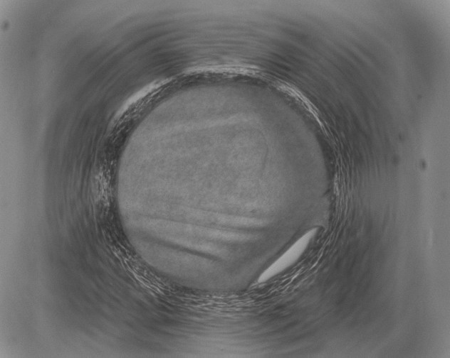 X0000081561064200702051143