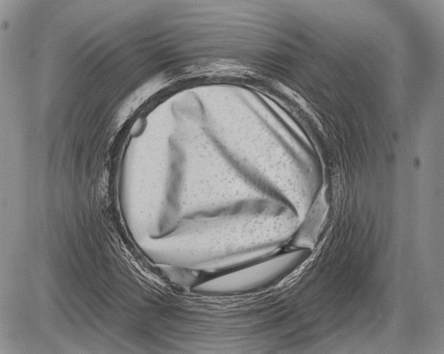 X0000081561066200702051143