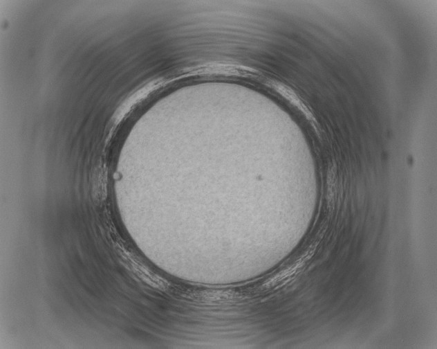 X0000081561067200702051143