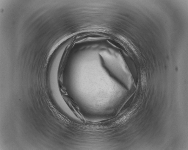 X0000081561069200702051143