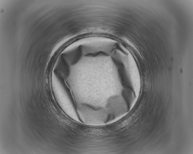 X0000081561070200702051143