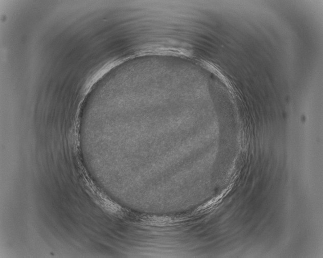 X0000081561071200702051143