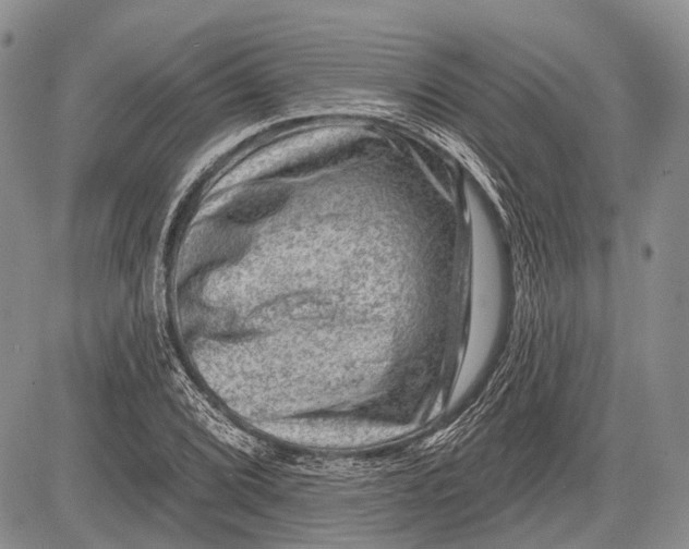 X0000081561072200702051143