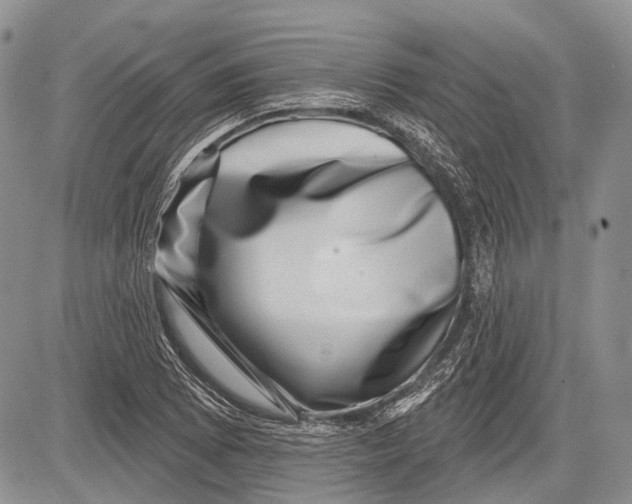 X0000081561073200702051143