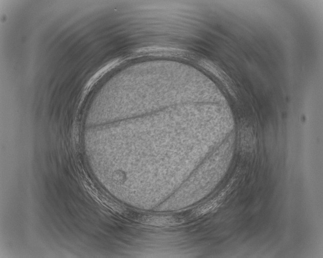 X0000081561074200702051143