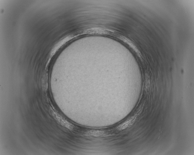 X0000081561075200702051143