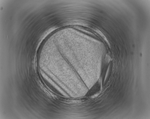 X0000081561076200702051143