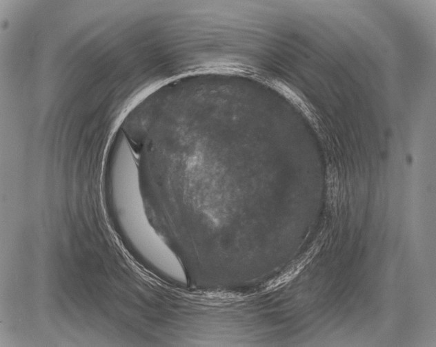 X0000081561077200702051143