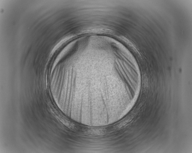 X0000081561078200702051143