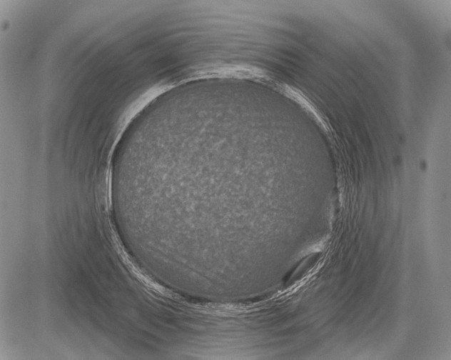 X0000081561079200702051143