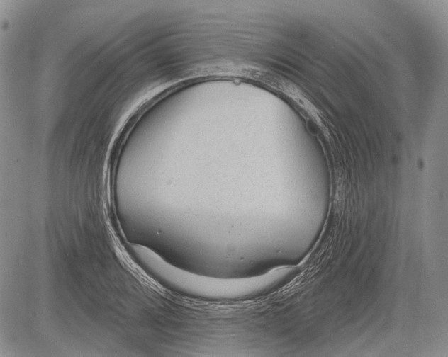 X0000081561080200702051143