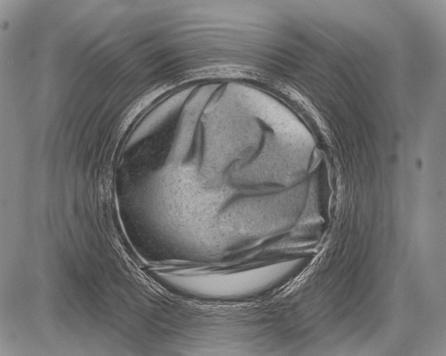 X0000081561081200702051143