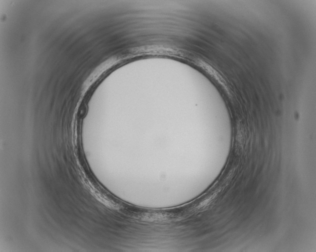 X0000081561082200702051143