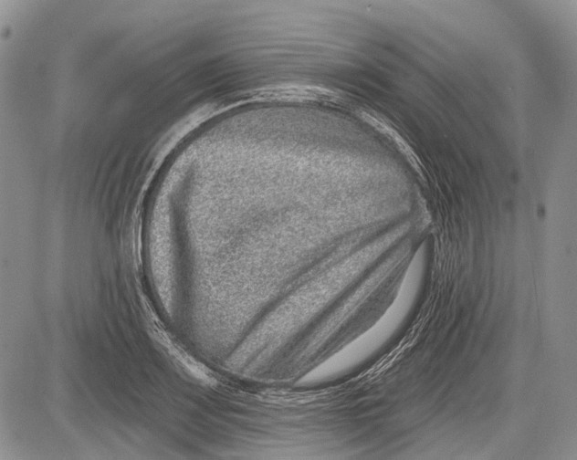 X0000081561083200702051143