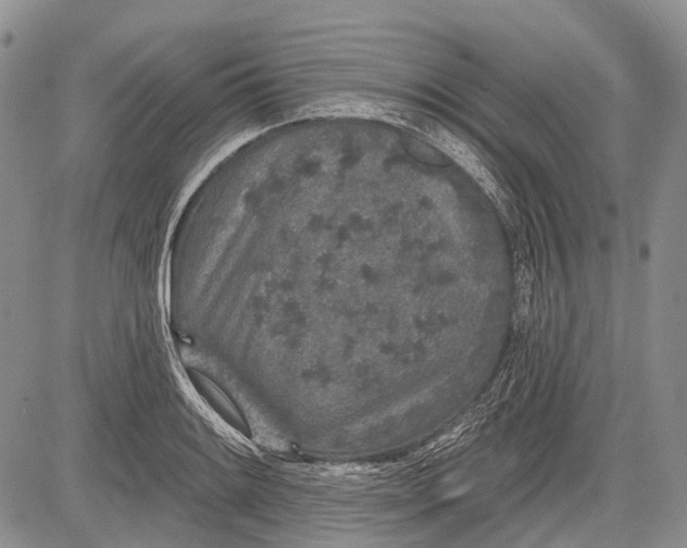 X0000081561084200702051143